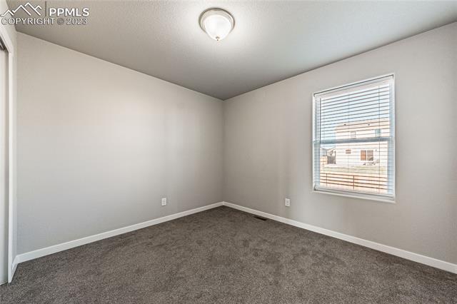 7269 Bigtooth Maple Drive