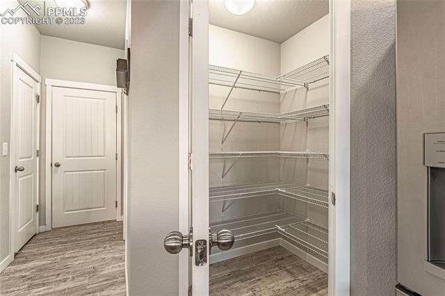 7269 Bigtooth Maple Drive