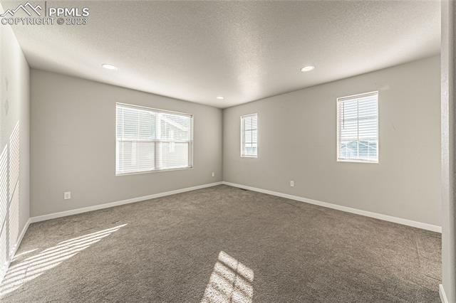 7269 Bigtooth Maple Drive