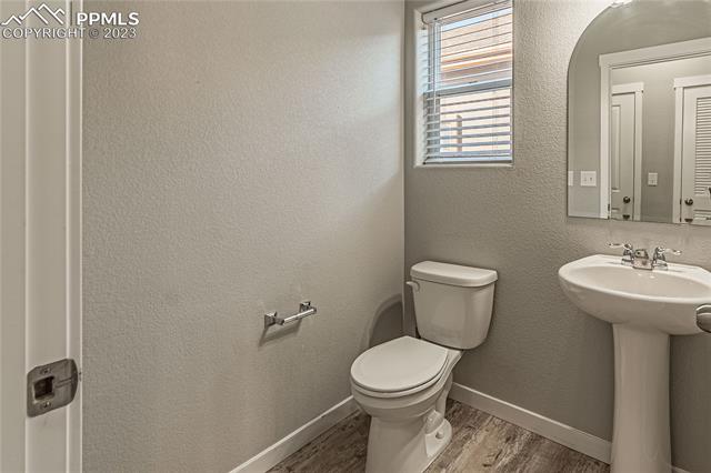 7269 Bigtooth Maple Drive