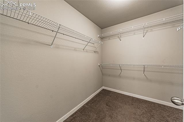 7269 Bigtooth Maple Drive