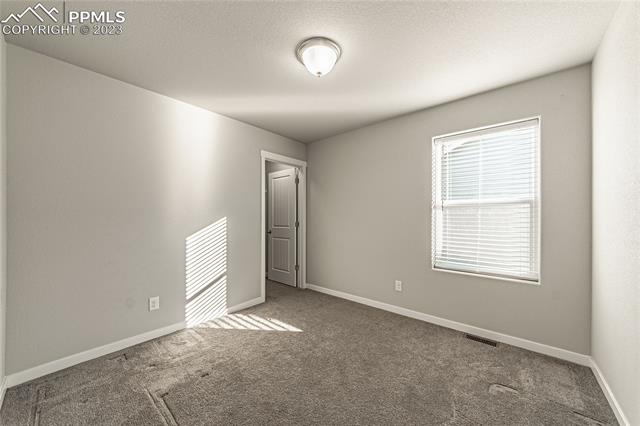 7269 Bigtooth Maple Drive