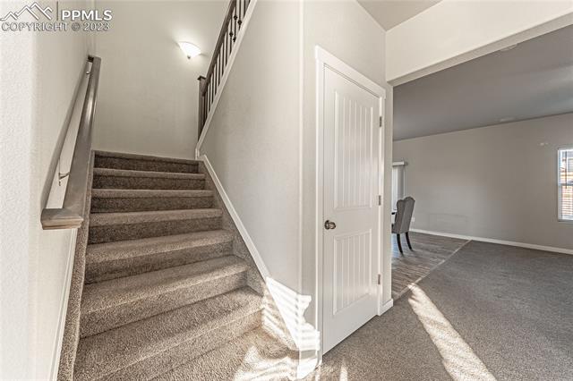 7269 Bigtooth Maple Drive