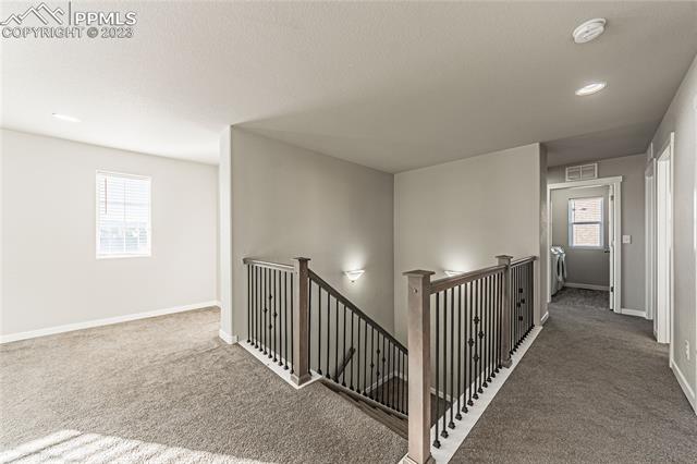 7269 Bigtooth Maple Drive