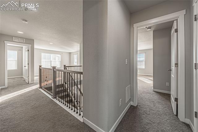 7269 Bigtooth Maple Drive