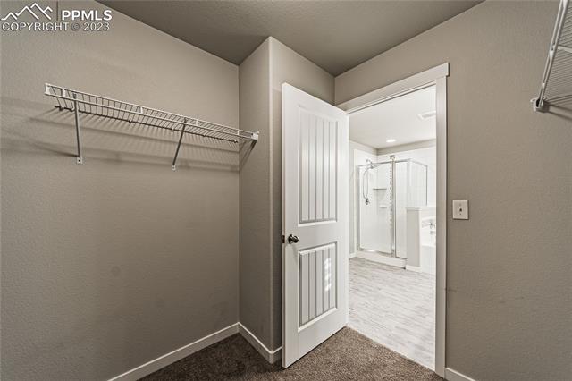 7269 Bigtooth Maple Drive