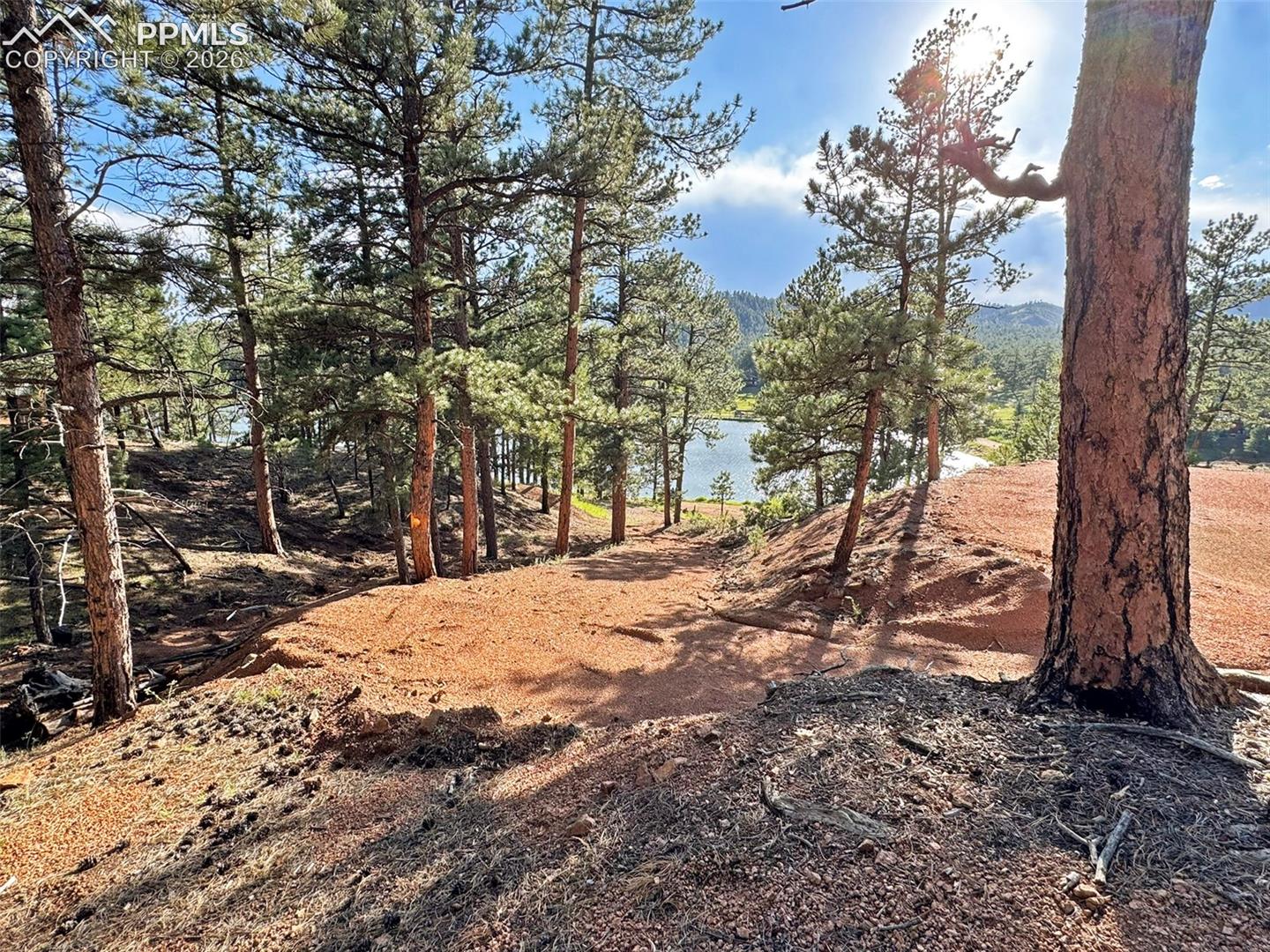 14924 Pine Lake Drive