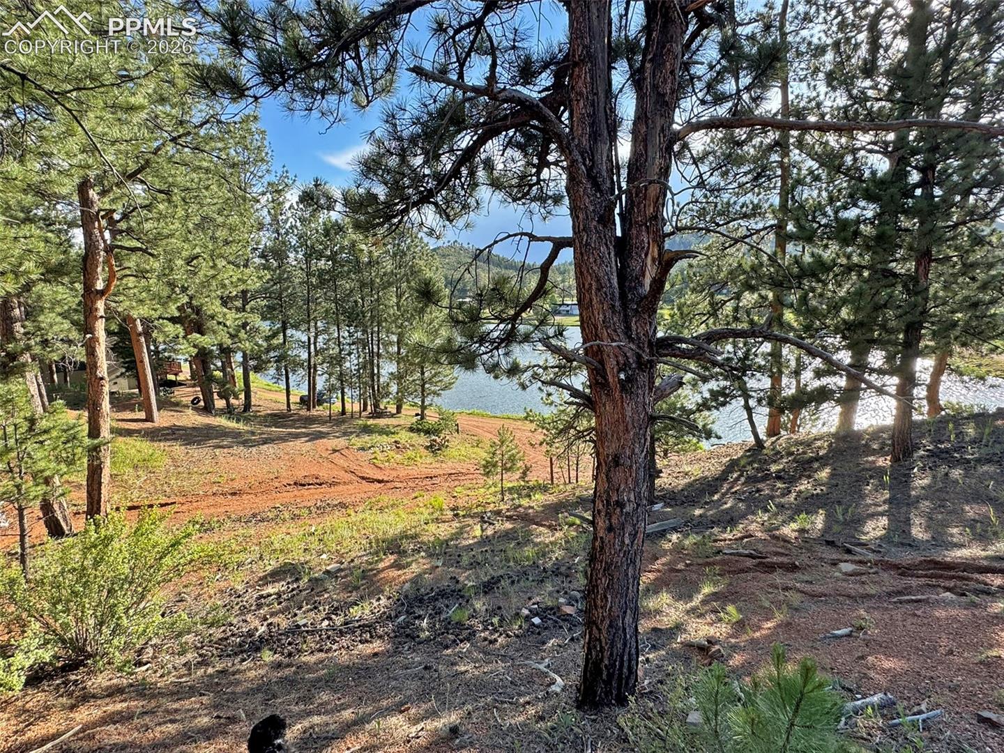 14924 Pine Lake Drive