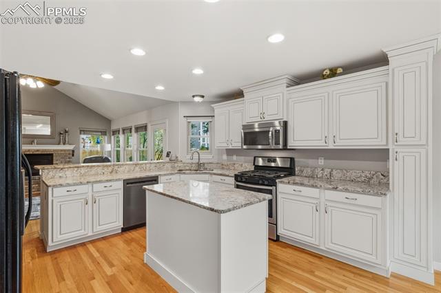 8629 Alpine Valley Drive