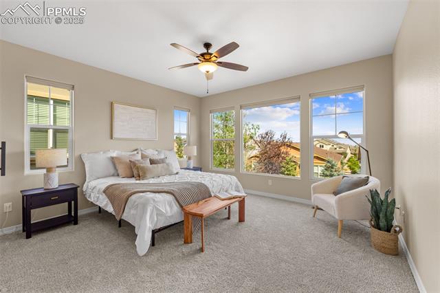 9131 Lizard Rock Trail