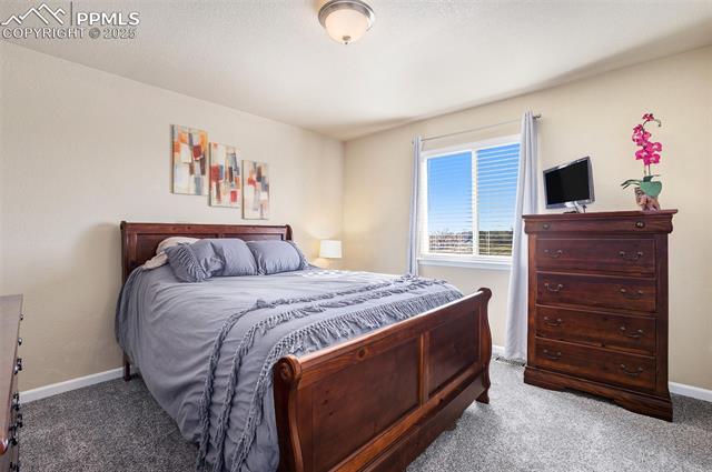 8219 Barn Swallow Grove