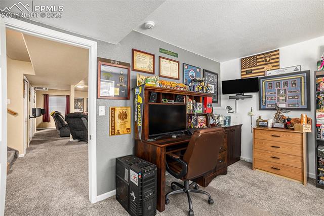 8219 Barn Swallow Grove