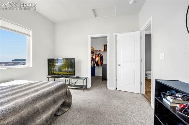 4432 N Samaritan Loop