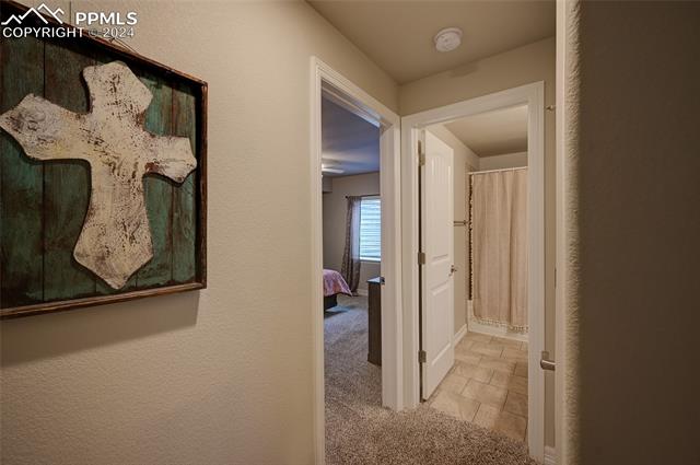 12804 Scenic Walk Drive