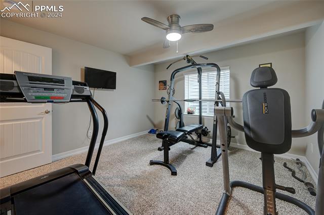 12804 Scenic Walk Drive