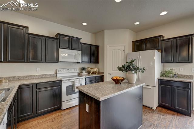 10158 Silver Stirrup Drive