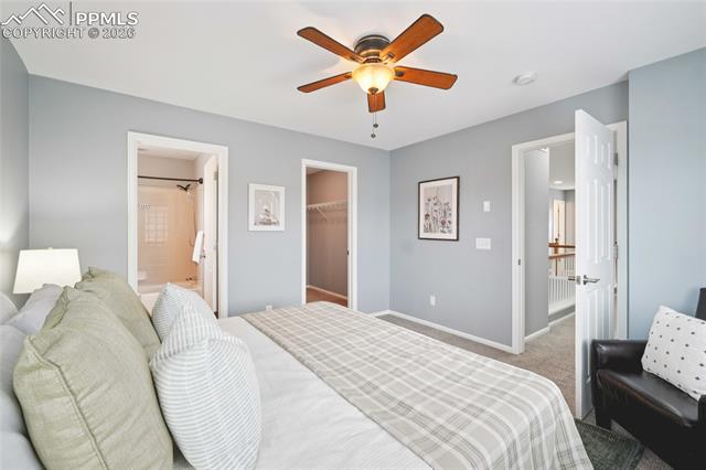 11514 Mountain Turtle Drive