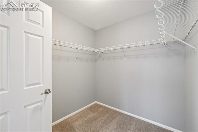 11514 Mountain Turtle Drive