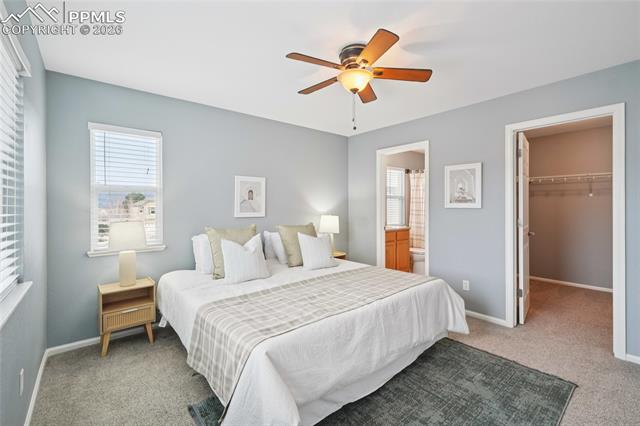 11514 Mountain Turtle Drive