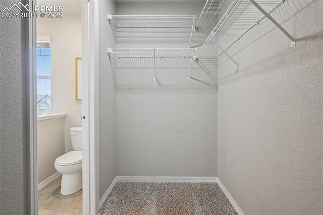 6081 Anders Ridge Lane