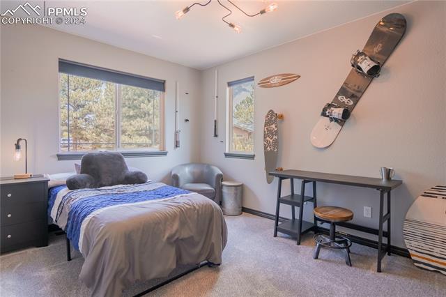 1469 Dark Pine Court