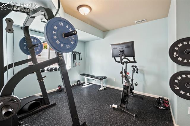 9563 Roxborough Park Court