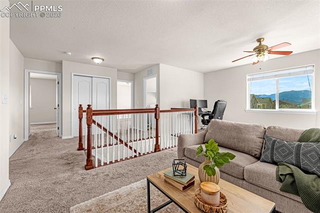 11633 Black Maple Lane