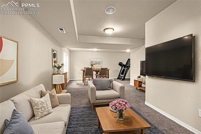 11633 Black Maple Lane
