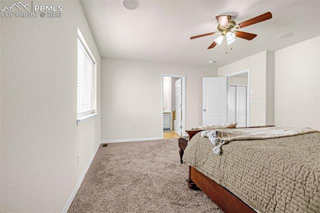 11633 Black Maple Lane