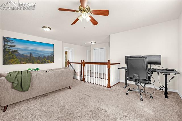 11633 Black Maple Lane