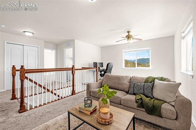 11633 Black Maple Lane