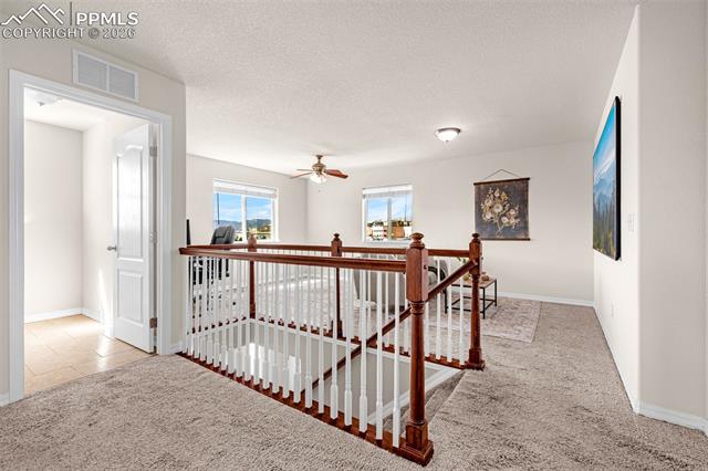 11633 Black Maple Lane