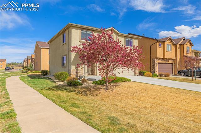 11633 Black Maple Lane