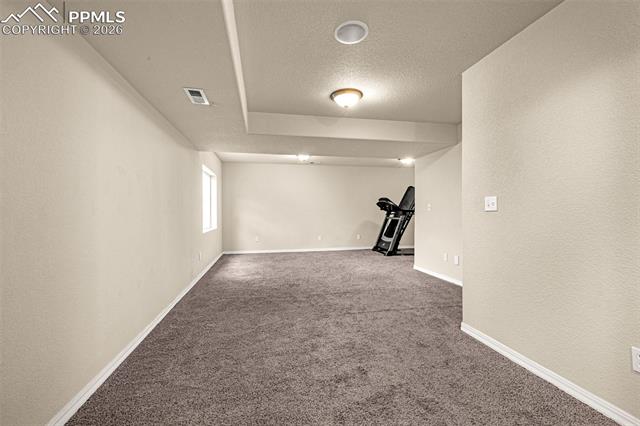 11633 Black Maple Lane