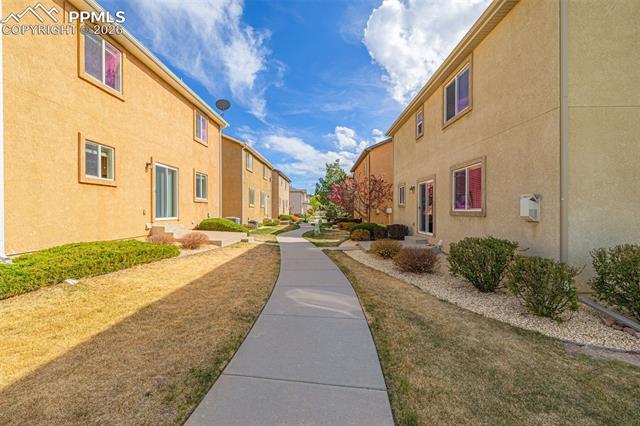 11633 Black Maple Lane