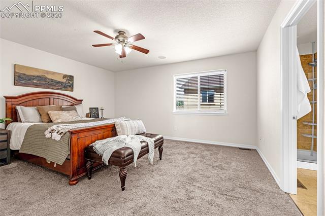 11633 Black Maple Lane