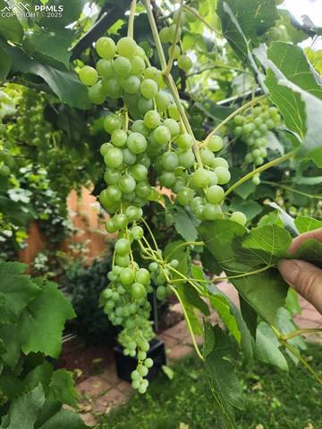 2411 Providence Circle