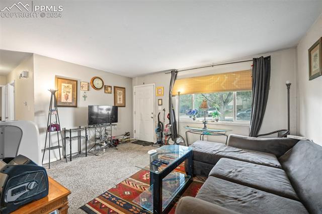 3685 Dogwood Drive