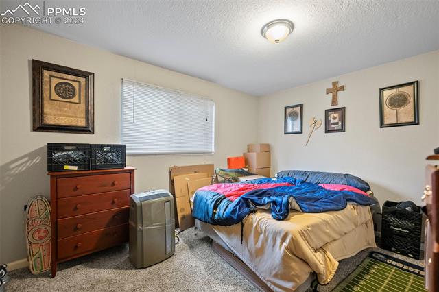 3685 Dogwood Drive