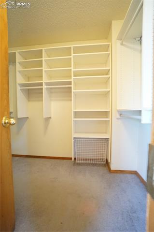 8573 Candleflower Circle