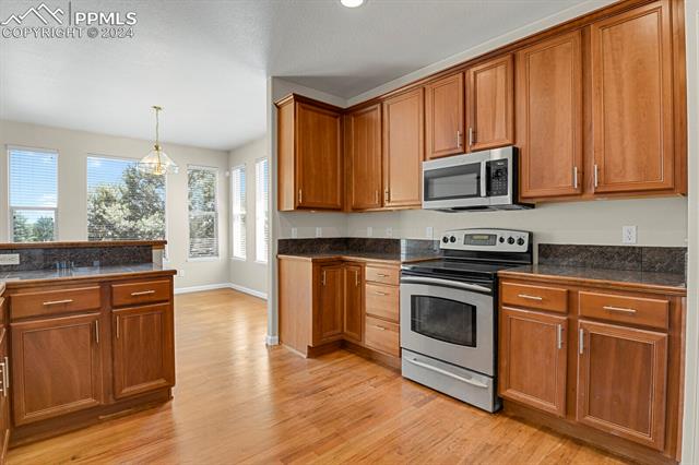 8581 Roaring Fork Drive