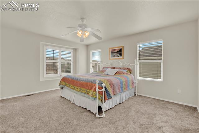 16210 Windy Creek Drive