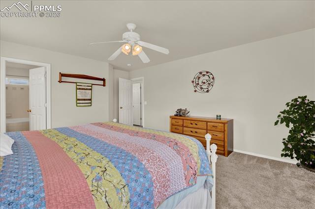 16210 Windy Creek Drive