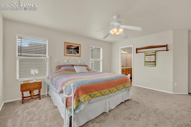 16210 Windy Creek Drive