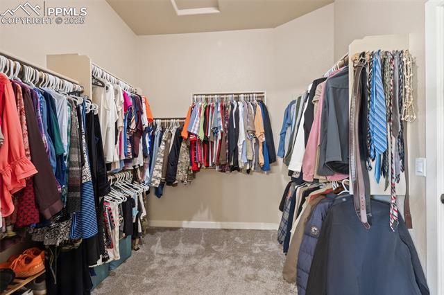 15704 Pole Pine Point