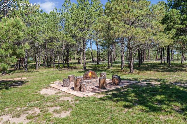 15704 Pole Pine Point