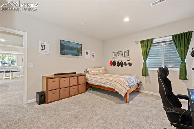 15704 Pole Pine Point