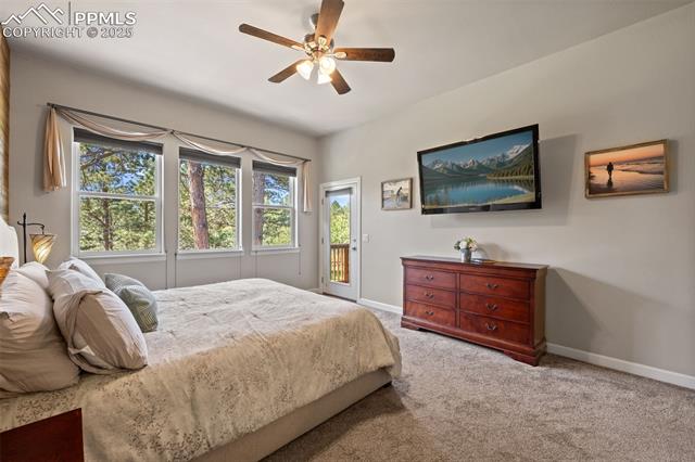 15704 Pole Pine Point