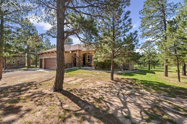 15704 Pole Pine Point