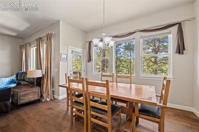 15704 Pole Pine Point